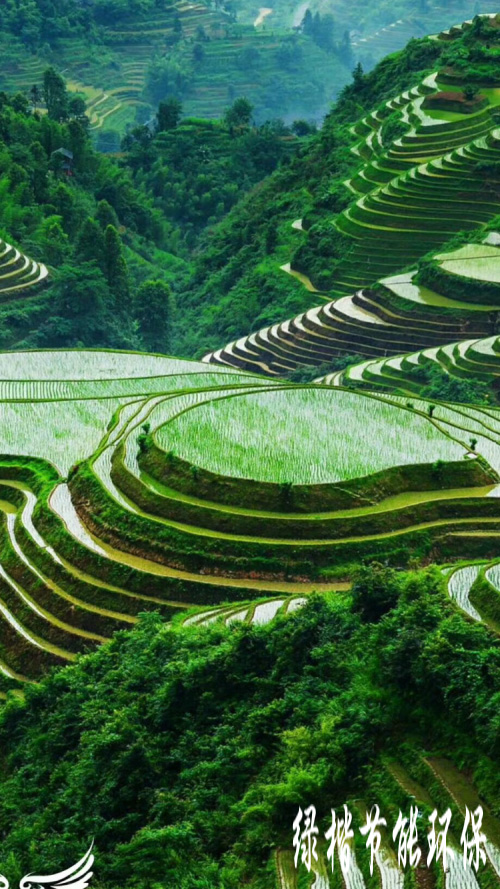 生態(tài)和環(huán)境規(guī)劃、可行性研究報(bào)告