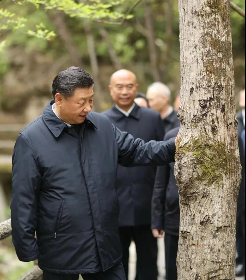 湖南綠楷節(jié)能環(huán)?？萍加邢薰?湖南土壤污染修復(fù),污水處理工程,農(nóng)業(yè)污染治理,環(huán)保工程