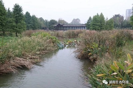 湖南綠楷節(jié)能環(huán)?？萍加邢薰?湖南土壤污染修復(fù),污水處理工程,農(nóng)業(yè)污染治理,環(huán)保工程